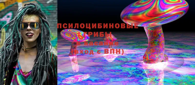 закладка  Искитим  Галлюциногенные грибы Magic Shrooms 